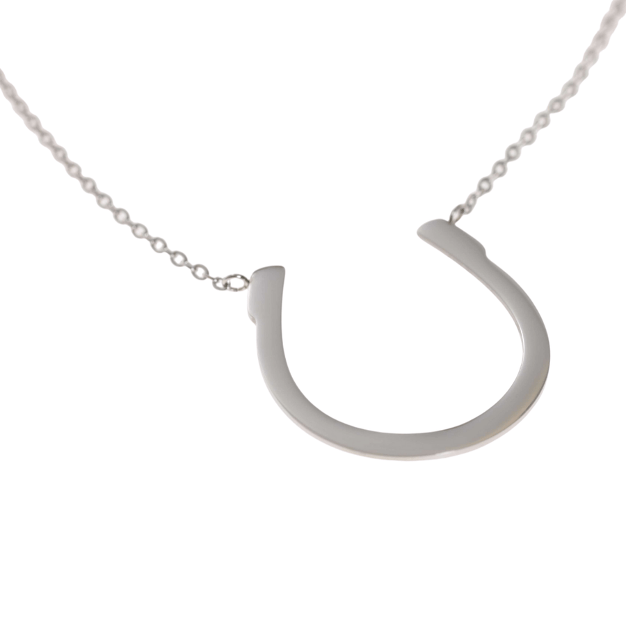 large silver necklace with horseshoe pendant